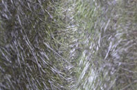 Nutbourne fibreglass roof work